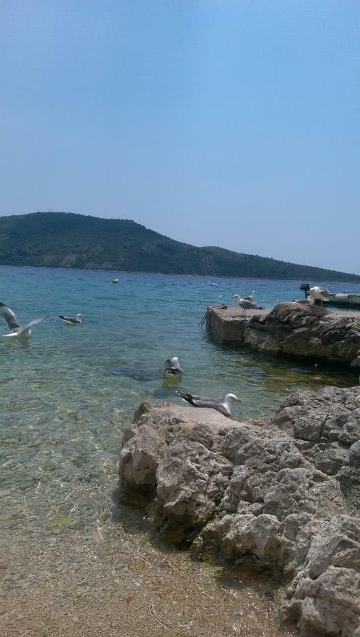 Aparthotel Marina Primošten Dış mekan fotoğraf